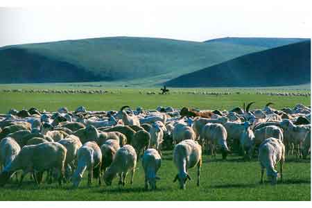 呼伦贝尔――蒙古族的发祥地-呼伦贝尔――蒙