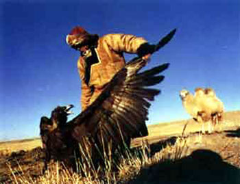 蒙古人的狩猎活动,主要采用 猎网 和猎犬等方式