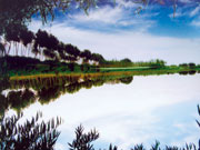 http://www.nmgnews.com.cn/pic/0/10/05/08/10050800_999918.jpg